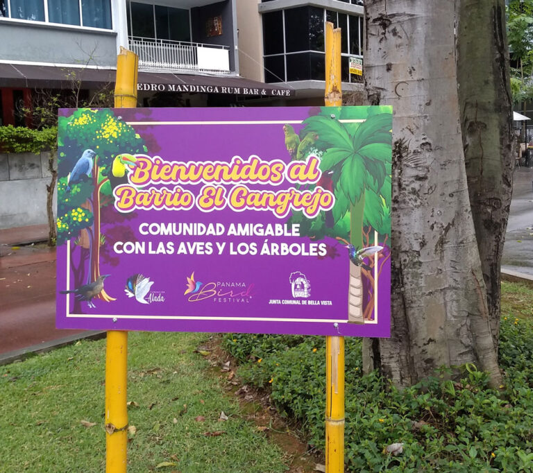 TireBirds Spanish Classes In Panama Learn Spanish Abroad Spanish