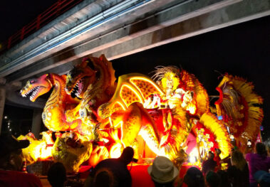 Svg+xml,%3Csvg%20xmlns%3D'http%3A%2F%2Fwww.w3, Spanish Classes In Panama | Learn Spanish Abroad | Spanish Language Immersion Programs