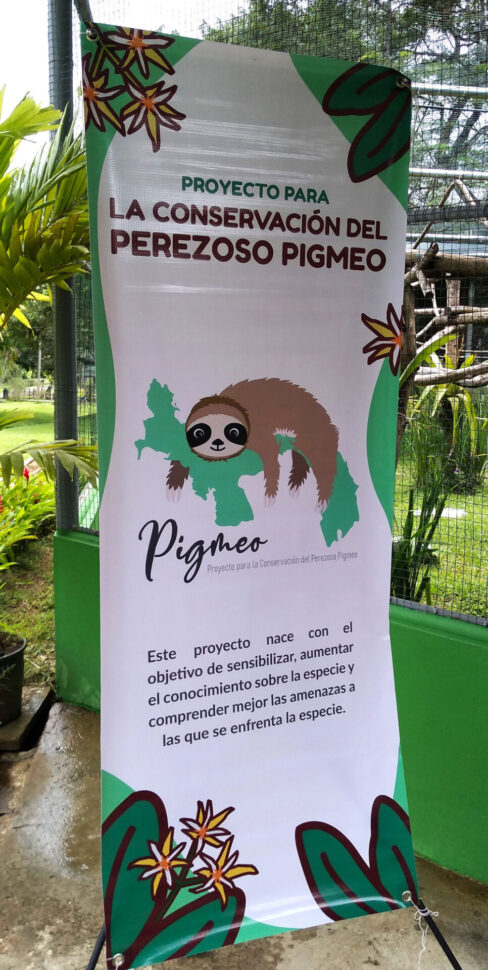 Svg+xml,%3Csvg%20xmlns%3D'http%3A%2F%2Fwww.w3, Spanish Classes In Panama | Learn Spanish Abroad | Spanish Language Immersion Programs