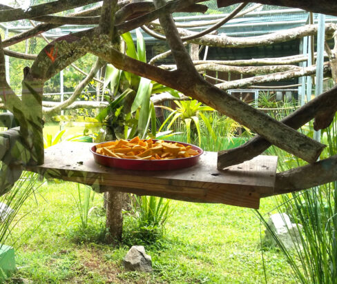 Svg+xml,%3Csvg%20xmlns%3D'http%3A%2F%2Fwww.w3, Spanish Classes In Panama | Learn Spanish Abroad | Spanish Language Immersion Programs