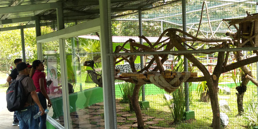 IMG_20221016-cage-protects-sloths-from-people