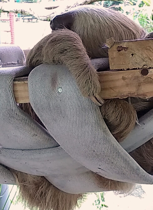 Svg+xml,%3Csvg%20xmlns%3D'http%3A%2F%2Fwww.w3, Spanish Classes In Panama | Learn Spanish Abroad | Spanish Language Immersion Programs