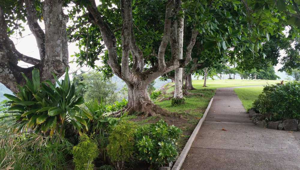 112 Walkway Under Trees, Spanish Classes In Panama | Learn Spanish Abroad | Spanish Language Immersion Programs