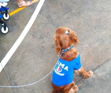 Svg+xml,%3Csvg%20xmlns%3D'http%3A%2F%2Fwww.w3, Spanish Classes In Panama | Learn Spanish Abroad | Spanish Language Immersion Programs