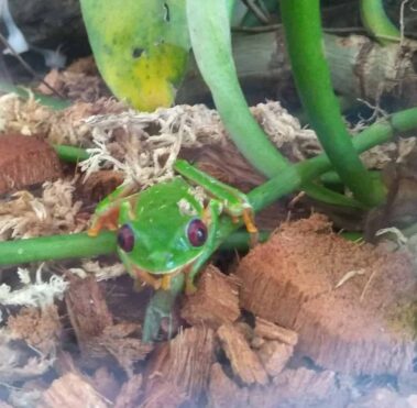 Svg+xml,%3Csvg%20xmlns%3D'http%3A%2F%2Fwww.w3, Spanish Classes In Panama | Learn Spanish Abroad | Spanish Language Immersion Programs