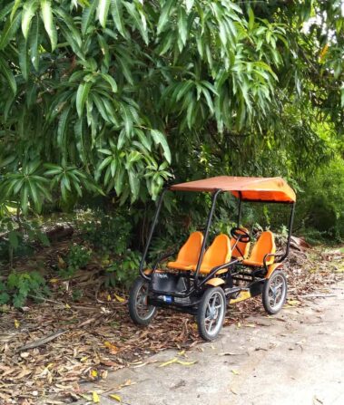 Svg+xml,%3Csvg%20xmlns%3D'http%3A%2F%2Fwww.w3, Spanish Classes In Panama | Learn Spanish Abroad | Spanish Language Immersion Programs