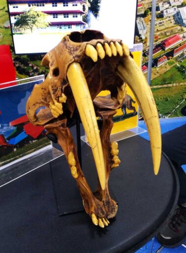 Svg+xml,%3Csvg%20xmlns%3D'http%3A%2F%2Fwww.w3, Spanish Classes In Panama | Learn Spanish Abroad | Spanish Language Immersion Programs