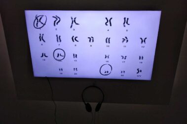 Svg+xml,%3Csvg%20xmlns%3D'http%3A%2F%2Fwww.w3, Spanish Classes In Panama | Learn Spanish Abroad | Spanish Language Immersion Programs