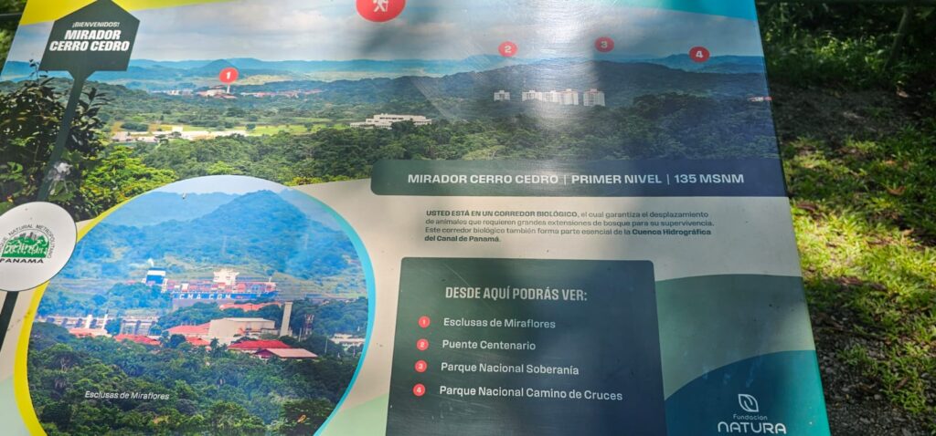 WhatsApp Image 2025 12 15 At 14.27.263, Spanish Classes In Panama | Learn Spanish Abroad | Spanish Language Immersion Programs